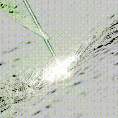 Microscopic